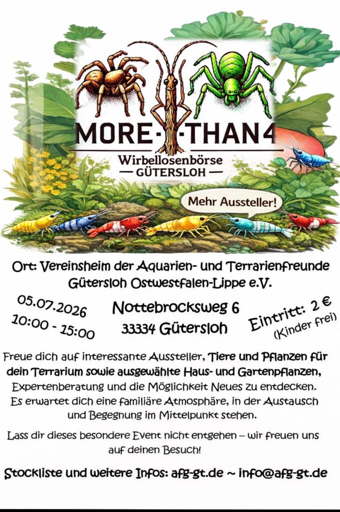 Flyer Boerse 05.07.2026 - 10-15Uhr