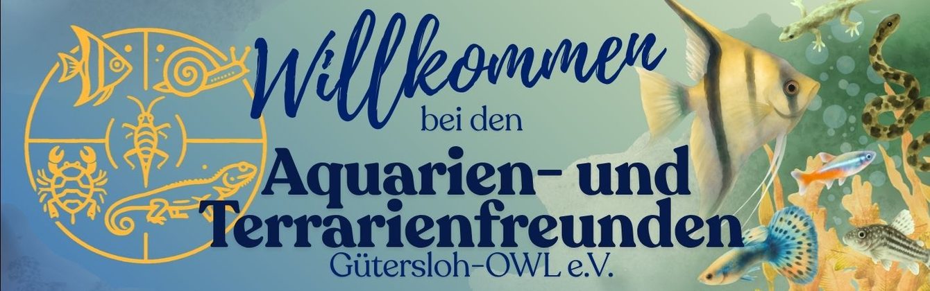 Willkommensbanner